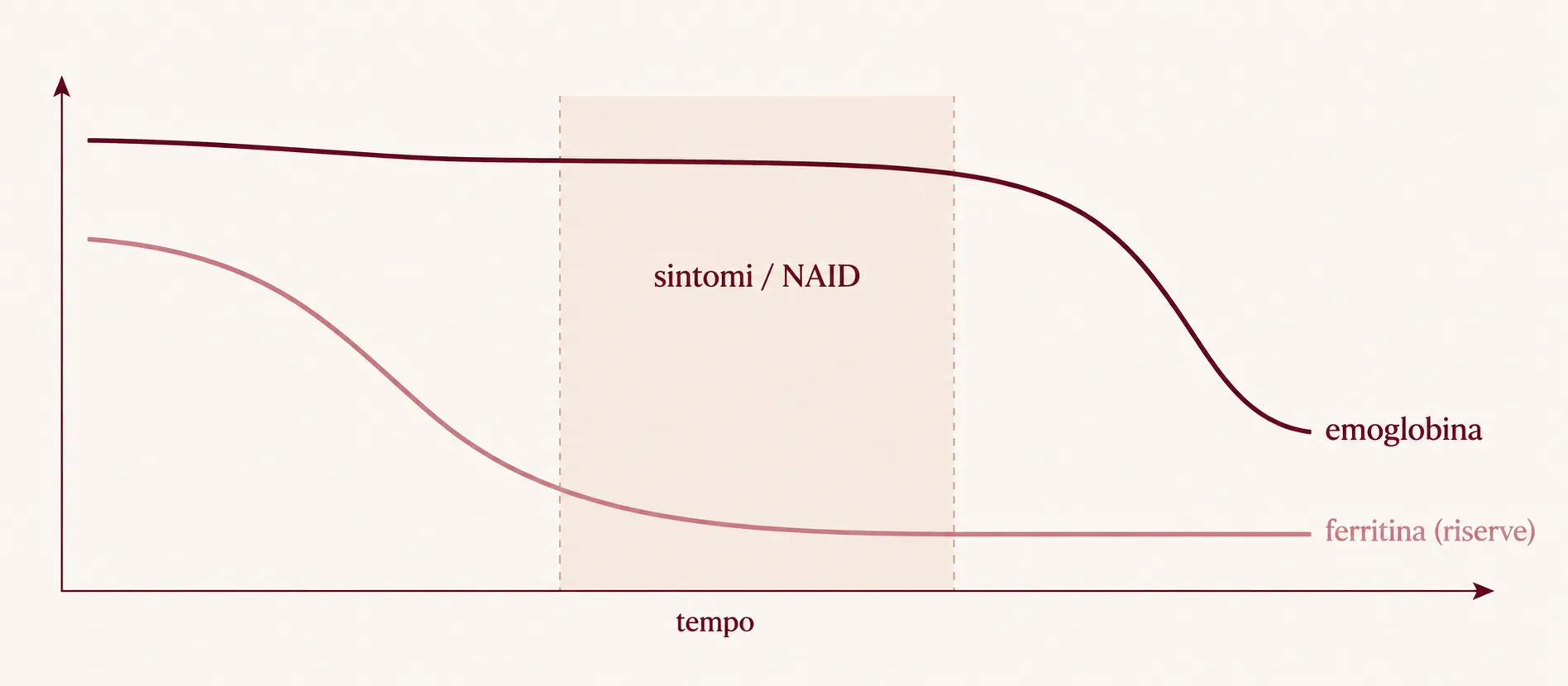 Diagramm: Der Ferritinwert sinkt vor dem Hämoglobin (Eisenmangel, NAID)